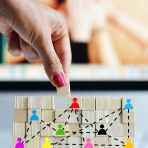 Tipos de Estructura Organizacional