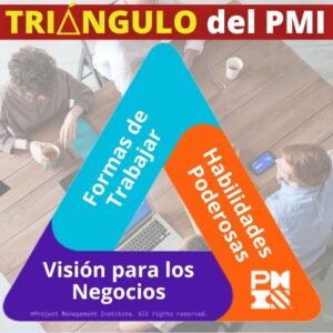 Triángulo del PMI