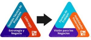 Triángulo del PMI
